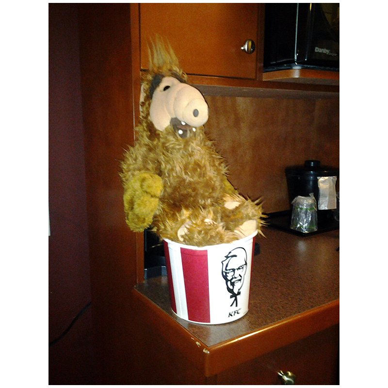 Alf