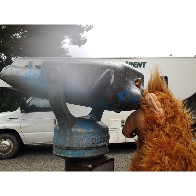 Alf