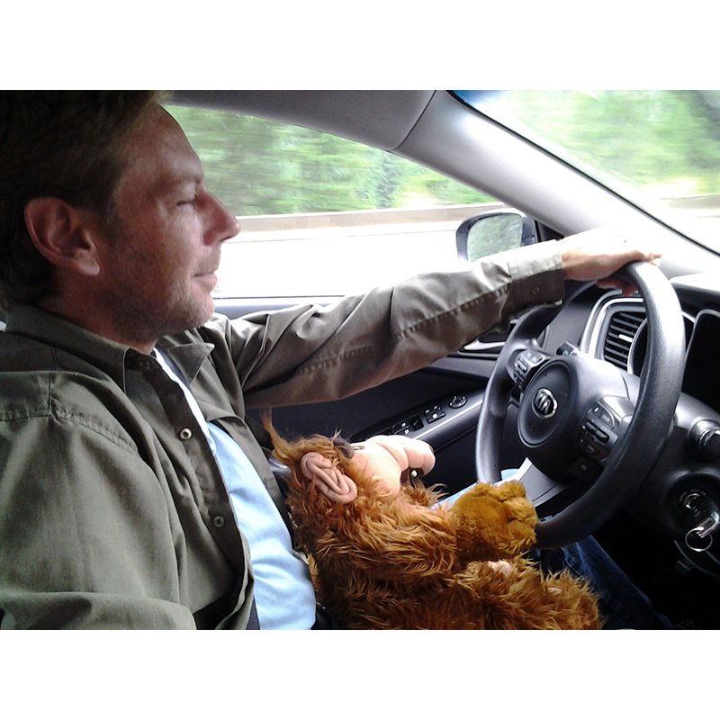 Alf